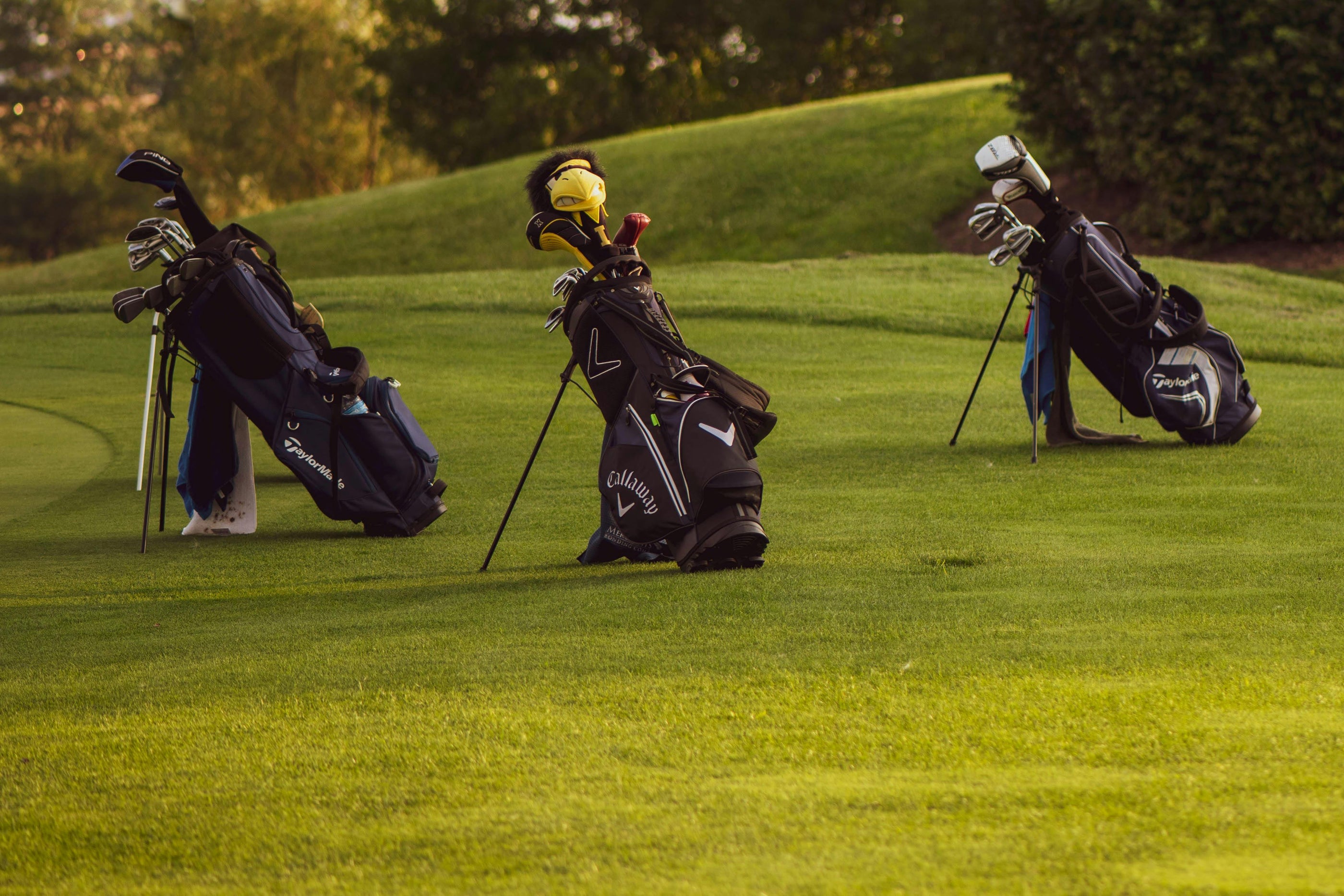 Golf Club Rentals